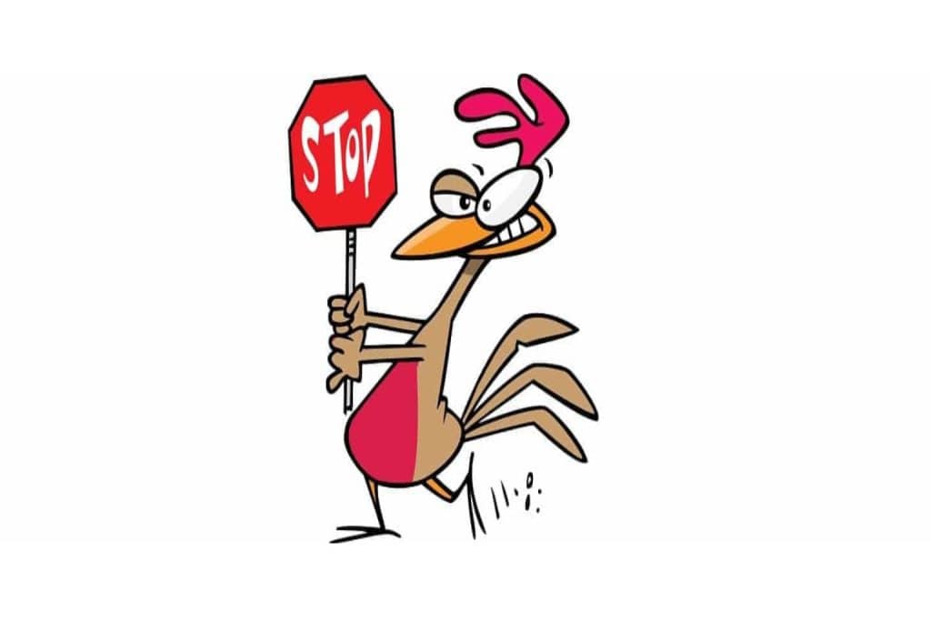 Coup de gueule realisme economique micro entrepreneur