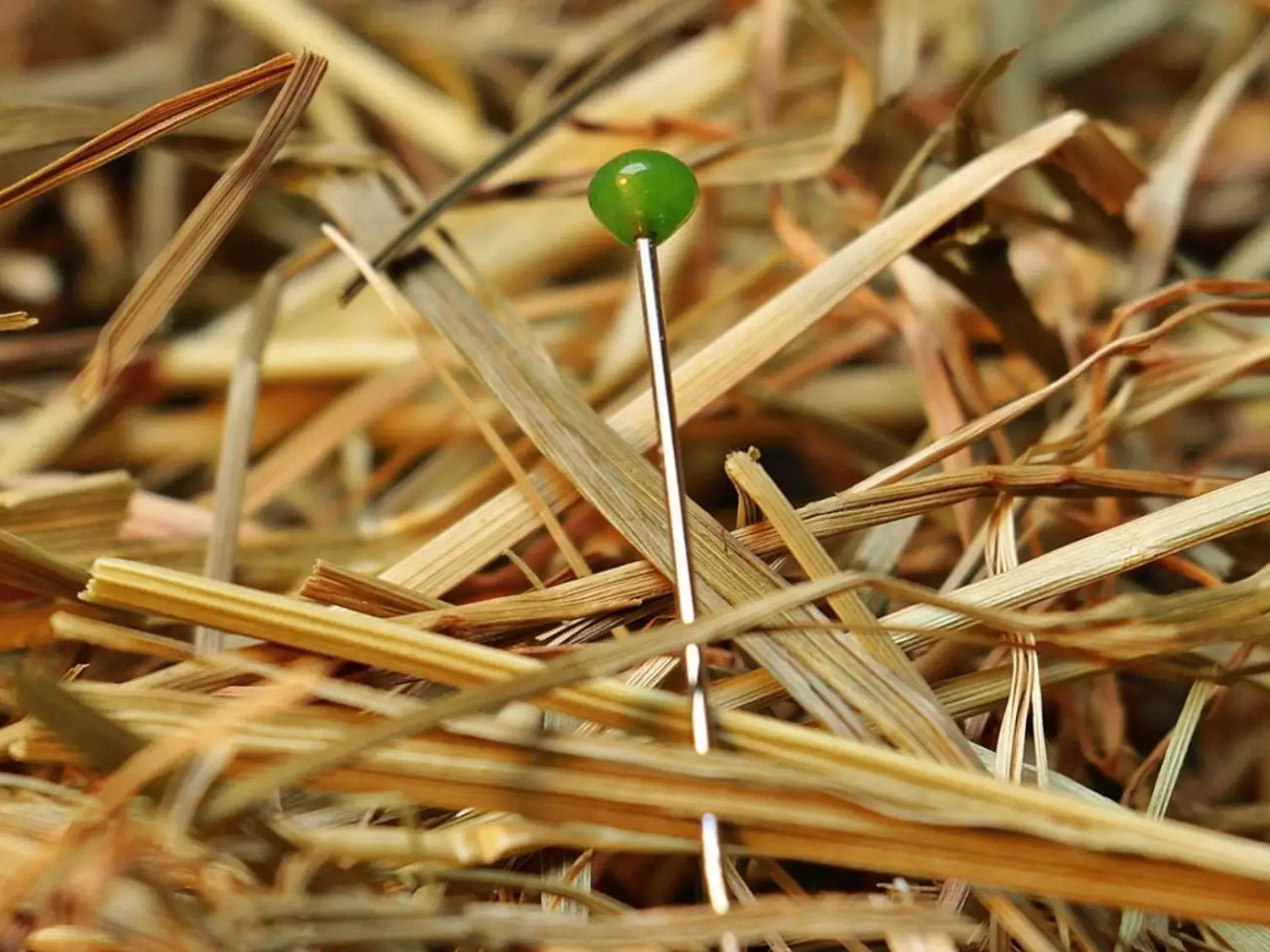 Comment choisir sa banque ? les 3 critères clés