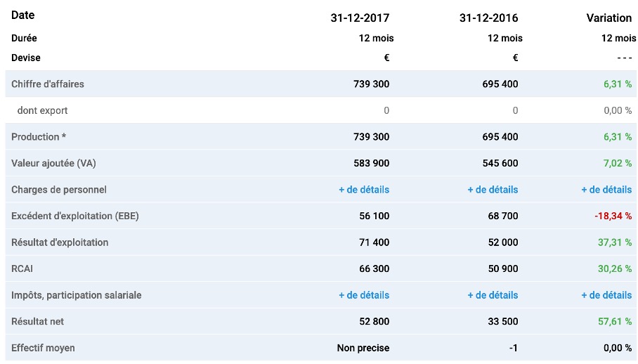 Bilan Comptable Exemple Obtenir Ceux Des Concurrents
