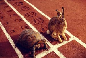 rien ne sert de courir il faut partir à point Comment réussir