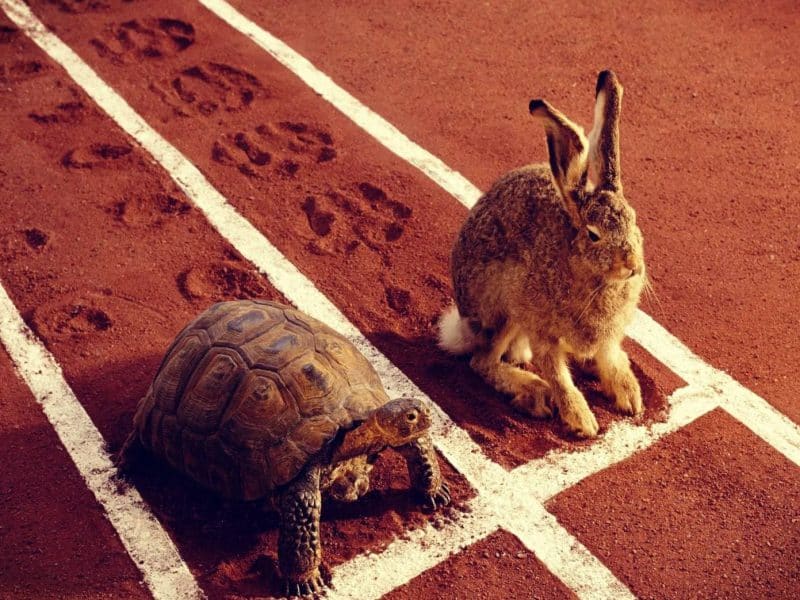 rien ne sert de courir il faut partir à point Comment réussir