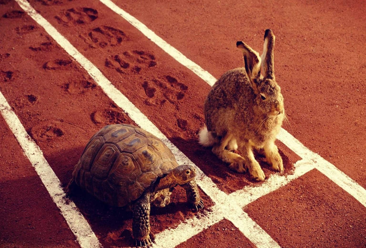 Rien de sert de courir, il faut partir à point