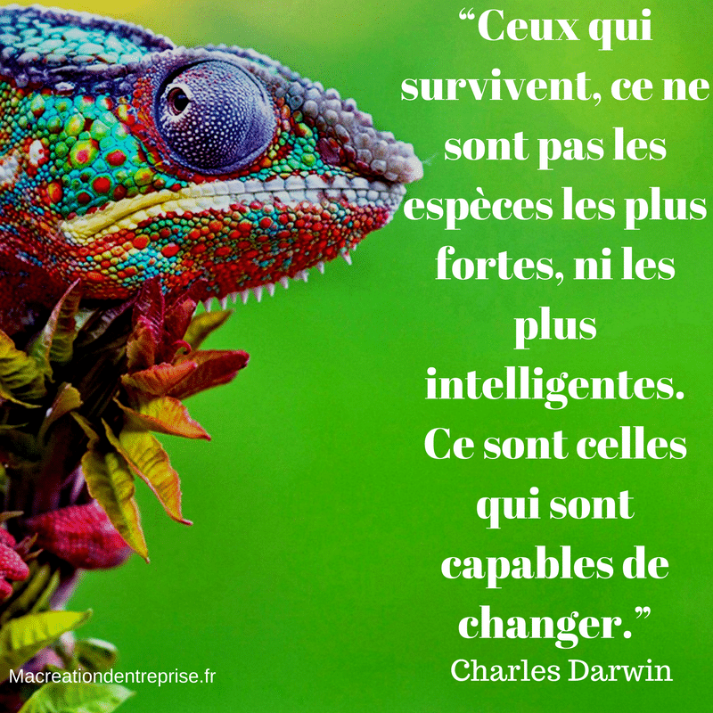 Citations Et Proverbes Business Pour Booster Les Entrepreneurs