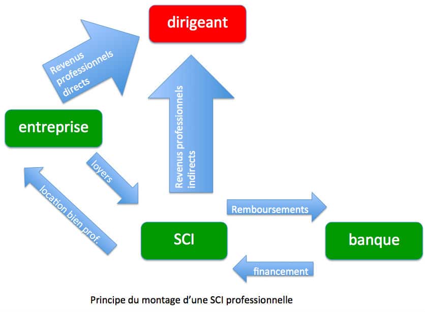 SCI professionnelle