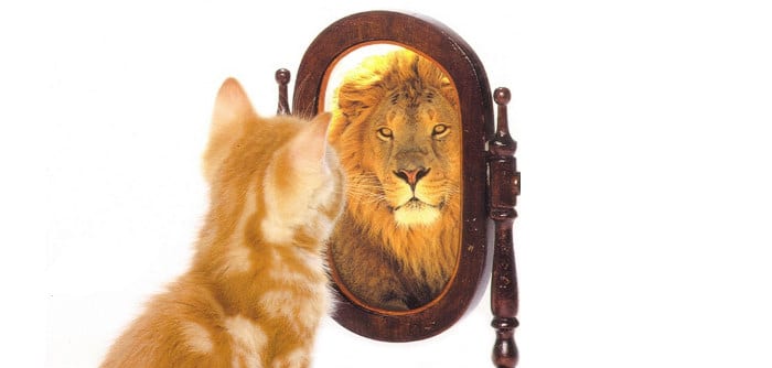 confiance-en-soi-de-lion