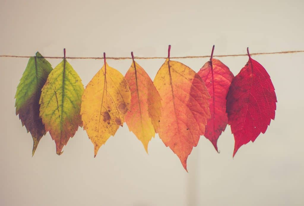 guide reconversion professionnelle Reconversion professionnelle