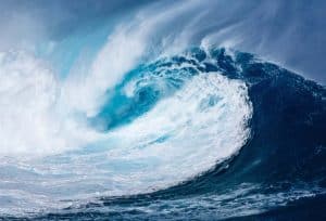 developper plus vite son business dans l'ocean bleu océan bleu