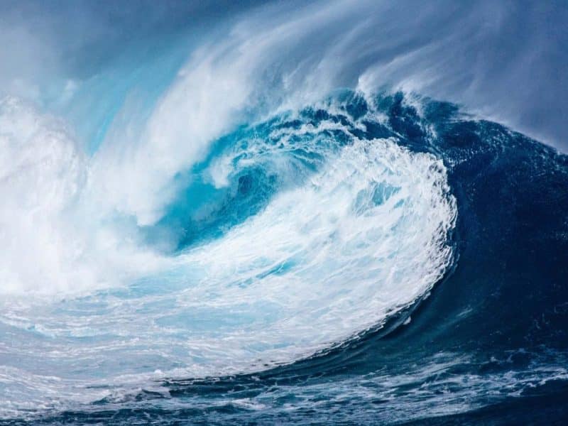 developper plus vite son business dans l'ocean bleu océan bleu