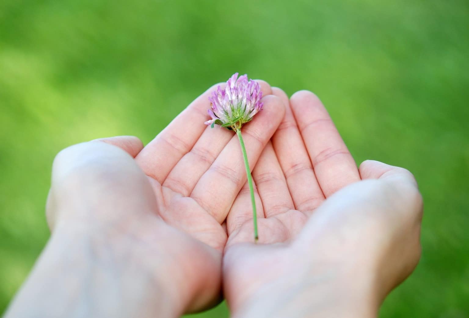 3 bonnes raisons de ne pas abandonner son projet entrepreneurial