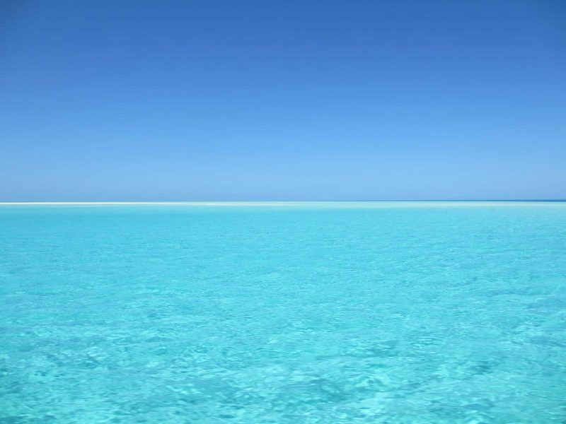 ocean bleu