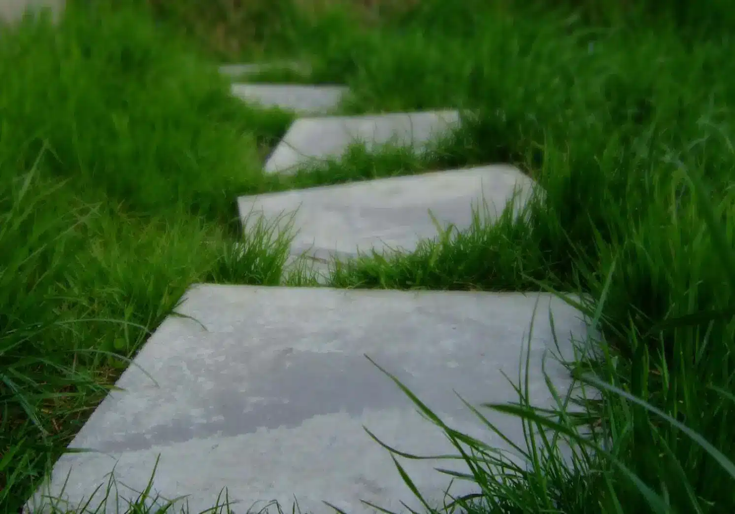 Tout savoir sur les étapes de la création d’entreprise !