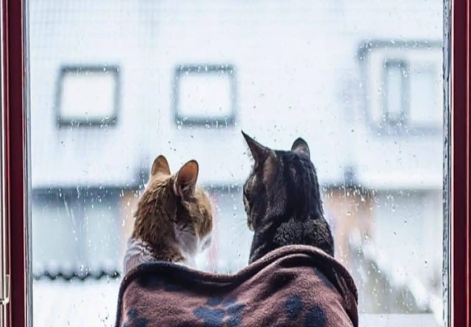 Plan de départ volontaire : le bon plan d’action !