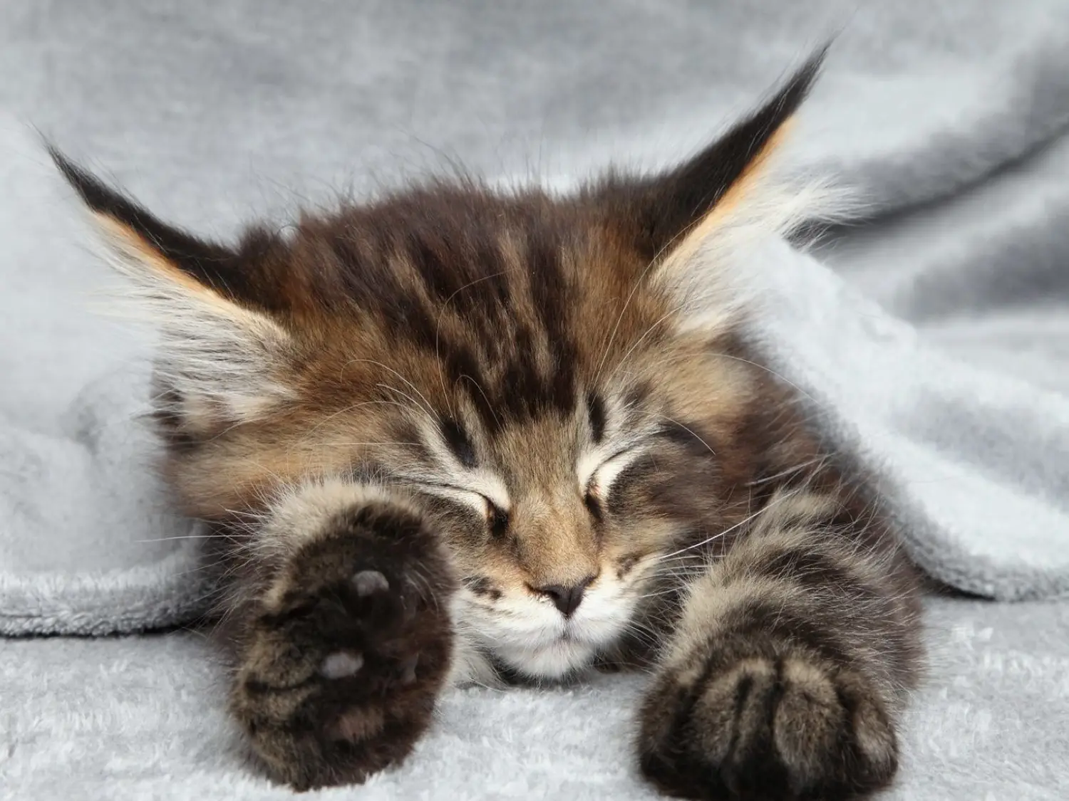 Stress de l’entrepreneur : 7 conseils clés et la RECETTE miracle ;-)