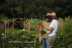 entreprendre à la campagne